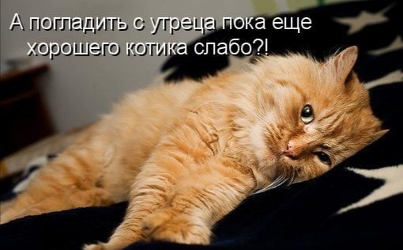http://upforme.ru/uploads/0012/6e/7d/1844/776187.jpg