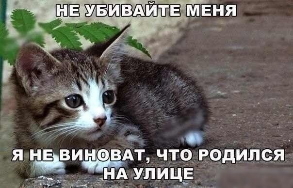 http://upforme.ru/uploads/0012/6e/7d/1844/776505.jpg