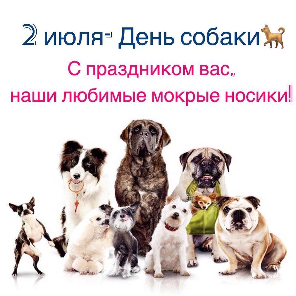 http://upforme.ru/uploads/0012/6e/7d/1844/799204.jpg