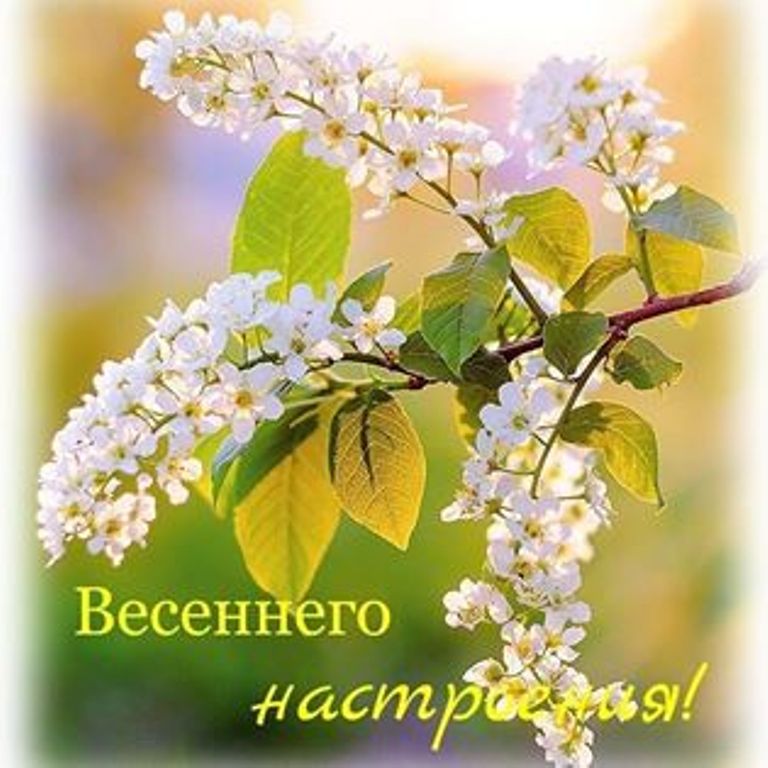 http://upforme.ru/uploads/0012/6e/7d/1844/802310.jpg