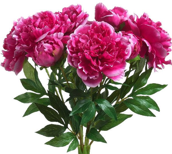 http://upforme.ru/uploads/0012/6e/7d/1844/804880.jpg