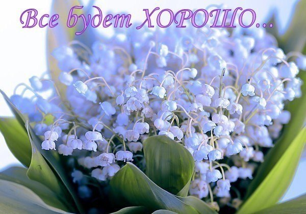 http://upforme.ru/uploads/0012/6e/7d/1844/807120.jpg
