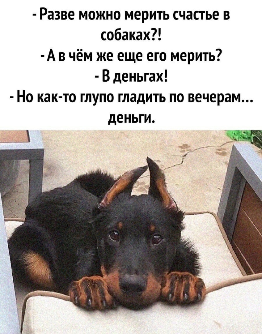 http://upforme.ru/uploads/0012/6e/7d/1844/817234.jpg