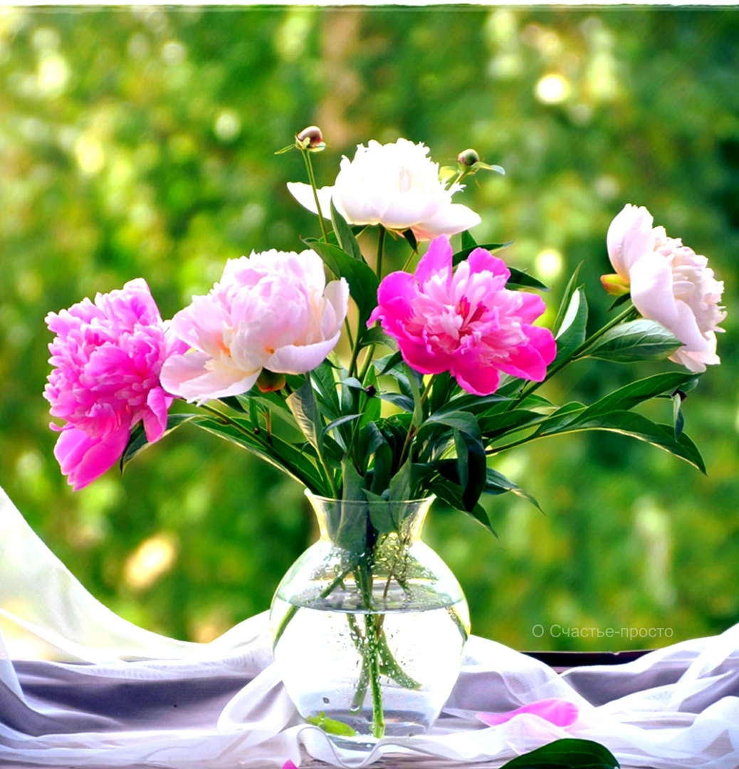 http://upforme.ru/uploads/0012/6e/7d/1844/818546.jpg