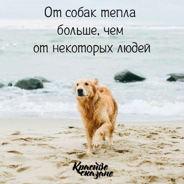 http://upforme.ru/uploads/0012/6e/7d/1844/821403.jpg