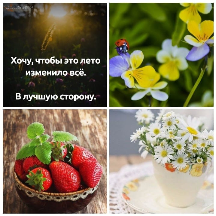 http://upforme.ru/uploads/0012/6e/7d/1844/850638.jpg