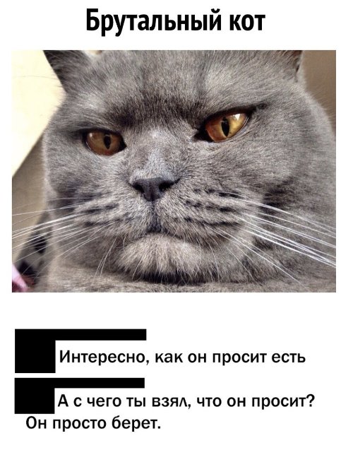 http://upforme.ru/uploads/0012/6e/7d/1844/855049.jpg