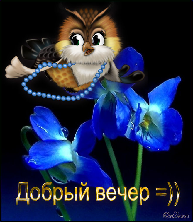 http://upforme.ru/uploads/0012/6e/7d/1844/85904.jpg