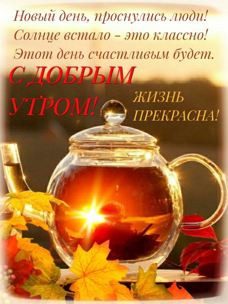 http://upforme.ru/uploads/0012/6e/7d/1844/872632.jpg