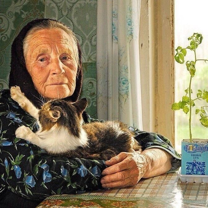http://upforme.ru/uploads/0012/6e/7d/1844/874276.jpg