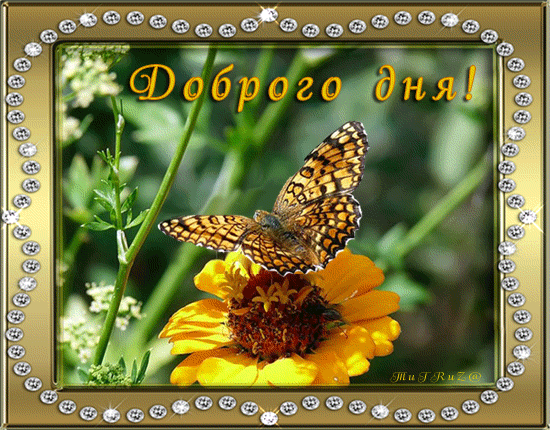 http://upforme.ru/uploads/0012/6e/7d/1844/882172.gif