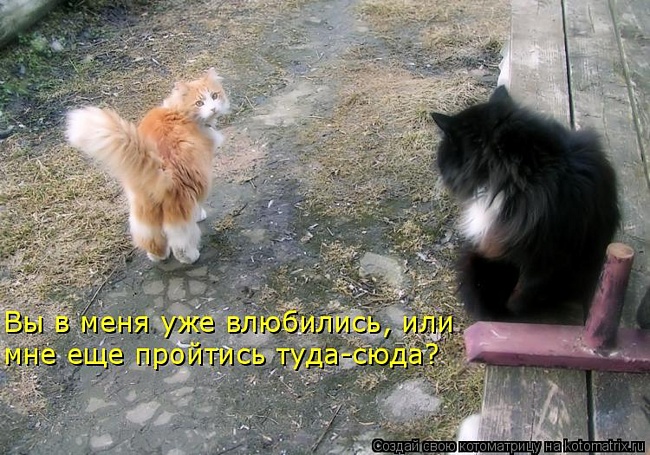 http://upforme.ru/uploads/0012/6e/7d/1844/88524.jpg