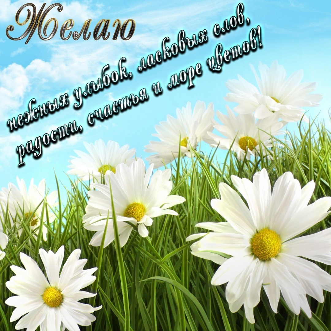 http://upforme.ru/uploads/0012/6e/7d/1844/941884.jpg