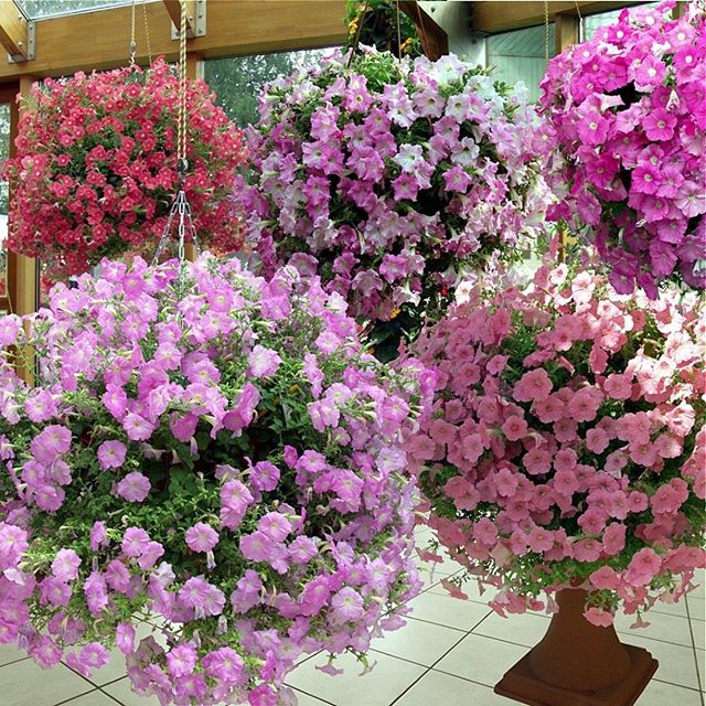 http://upforme.ru/uploads/0012/6e/7d/1844/960195.jpg