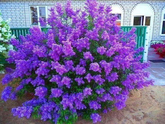 http://upforme.ru/uploads/0012/6e/7d/1844/962755.jpg