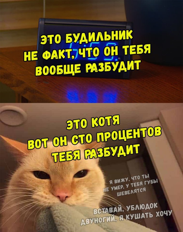 http://upforme.ru/uploads/0012/6e/7d/1844/963979.jpg