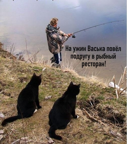 http://upforme.ru/uploads/0012/6e/7d/1844/964567.jpg