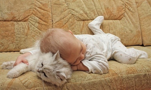 http://upforme.ru/uploads/0012/6e/7d/1844/964857.jpg