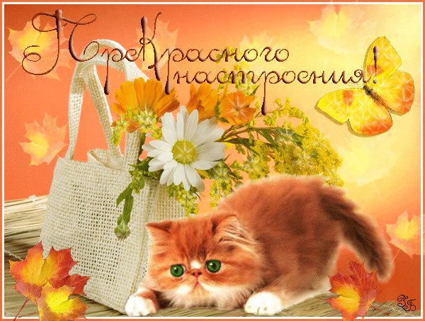 http://upforme.ru/uploads/0012/6e/7d/1844/968039.gif