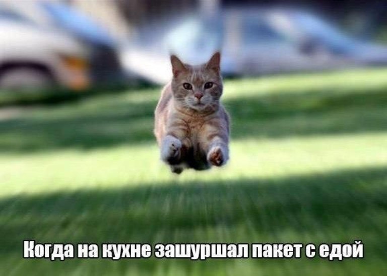 http://upforme.ru/uploads/0012/6e/7d/1844/975099.jpg