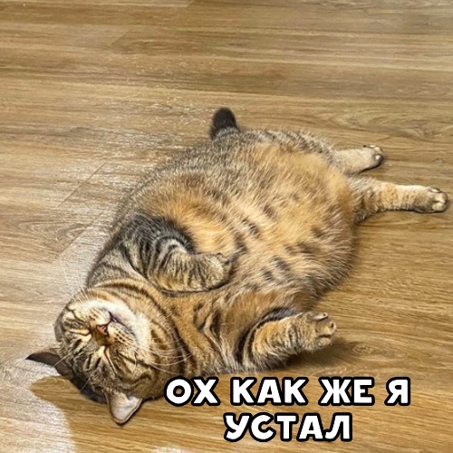http://upforme.ru/uploads/0012/6e/7d/1844/97710.jpg