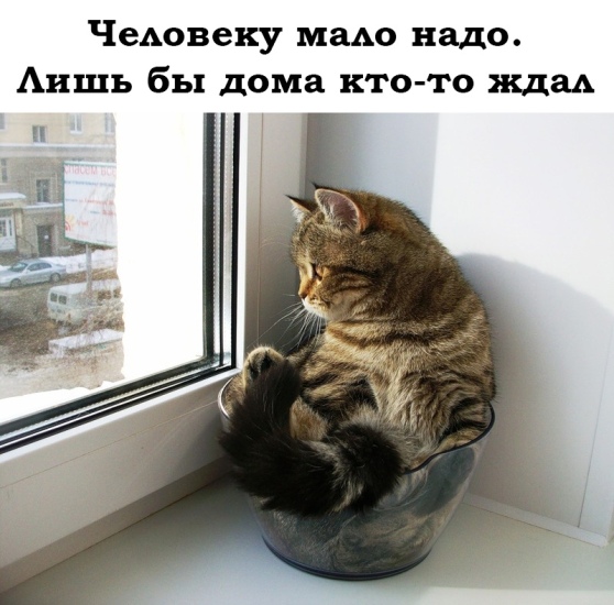 http://upforme.ru/uploads/0012/6e/7d/1844/980703.jpg