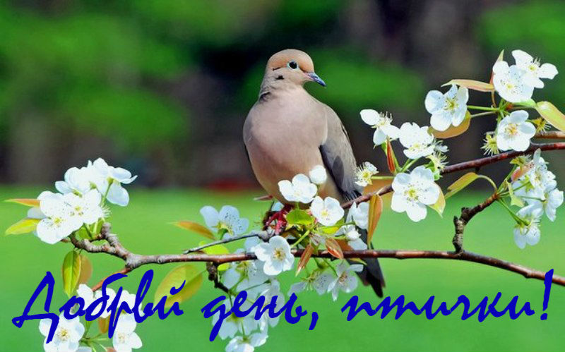 http://upforme.ru/uploads/0012/6e/7d/1844/983272.jpg