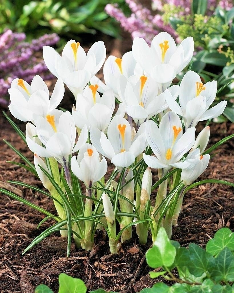 http://upforme.ru/uploads/0012/6e/7d/1844/98502.jpg