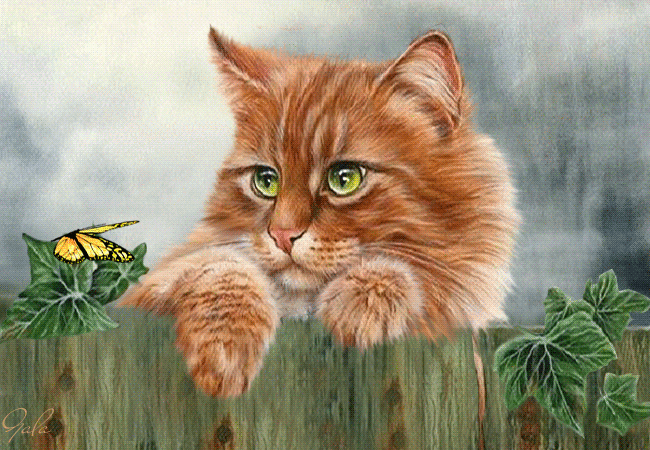http://upforme.ru/uploads/0012/6e/7d/1844/997657.gif