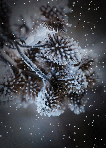 http://upforme.ru/uploads/0012/6e/7d/745/19430.gif