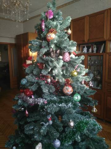 http://upforme.ru/uploads/0012/6e/7d/832/t89397.jpg