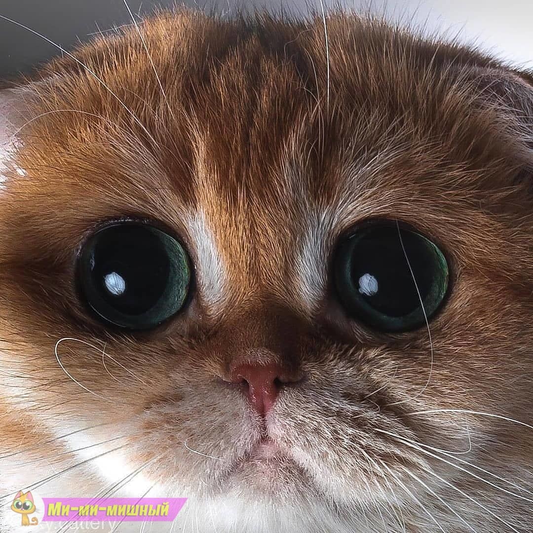 http://upforme.ru/uploads/0012/6e/7d/834/28297.jpg