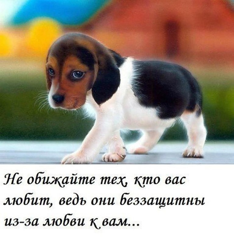 http://upforme.ru/uploads/0012/6e/7d/834/35061.jpg