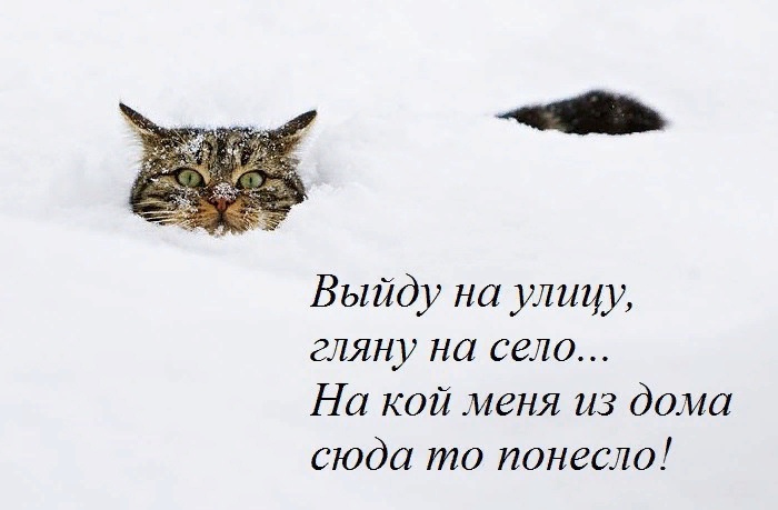 http://upforme.ru/uploads/0012/6e/7d/834/69780.jpg