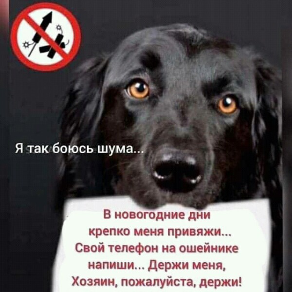 http://upforme.ru/uploads/0012/6e/7d/834/72260.jpg