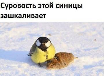 http://upforme.ru/uploads/0012/76/8f/4/t575083.jpg