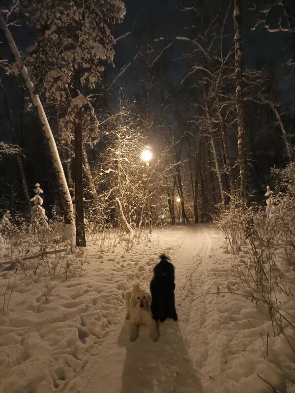 http://upforme.ru/uploads/0012/76/8f/6/t292138.jpg