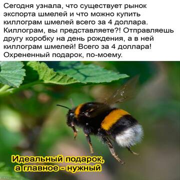 http://upforme.ru/uploads/0012/77/80/295/t389492.jpg