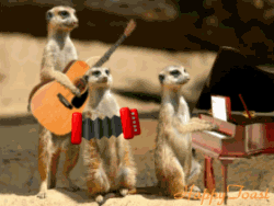 http://upforme.ru/uploads/0012/77/80/87/114632.gif