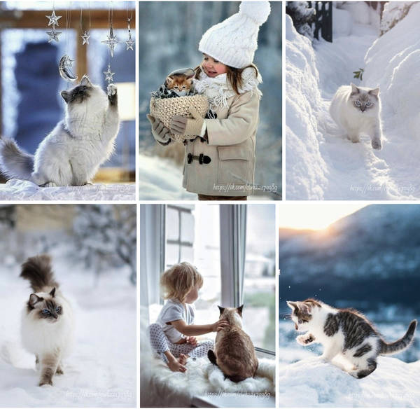 http://upforme.ru/uploads/0012/8d/0b/2/t65869.jpg