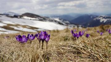 http://upforme.ru/uploads/0012/8d/0b/33/t33751.jpg