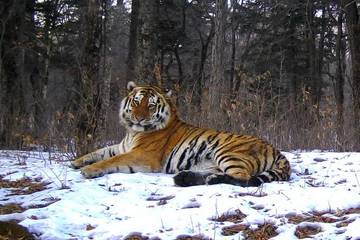 http://upforme.ru/uploads/0012/8d/0b/33/t36454.jpg