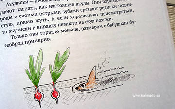 http://upforme.ru/uploads/0012/8d/0b/33/t83718.jpg