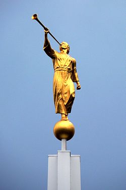 http://upforme.ru/uploads/0012/d6/0d/1500/t999124.jpg