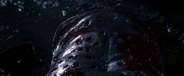 http://upforme.ru/uploads/0012/d6/0d/1550/t715651.jpg