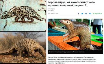 http://upforme.ru/uploads/0012/d6/0d/294/t12215.jpg
