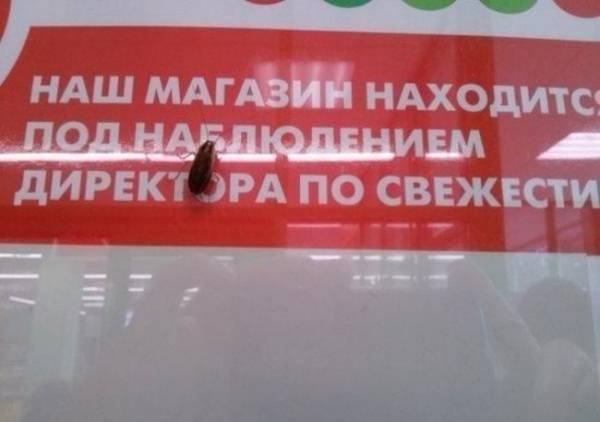 http://upforme.ru/uploads/0012/d6/0d/518/t123830.jpg