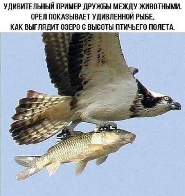 http://upforme.ru/uploads/0012/d6/0d/518/t304688.jpg