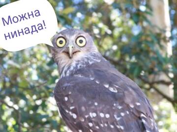 http://upforme.ru/uploads/0012/d6/0d/887/t424326.jpg