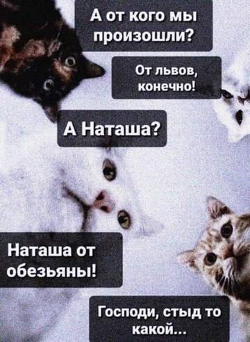 http://upforme.ru/uploads/0012/d6/0d/887/t452552.jpg